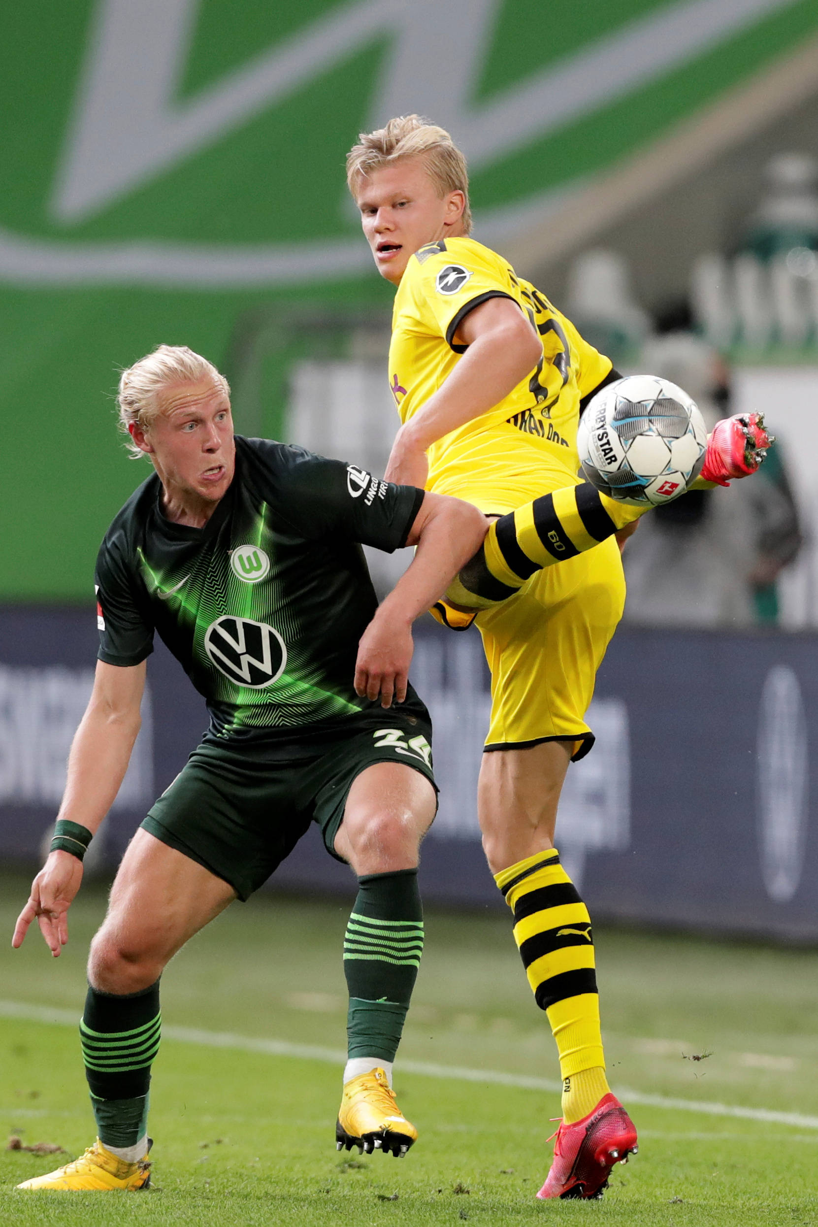 他不仅作为 他不仅作为