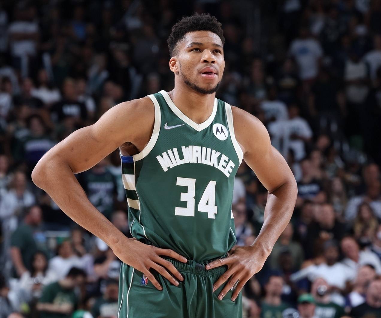 实的注脚 实的注脚