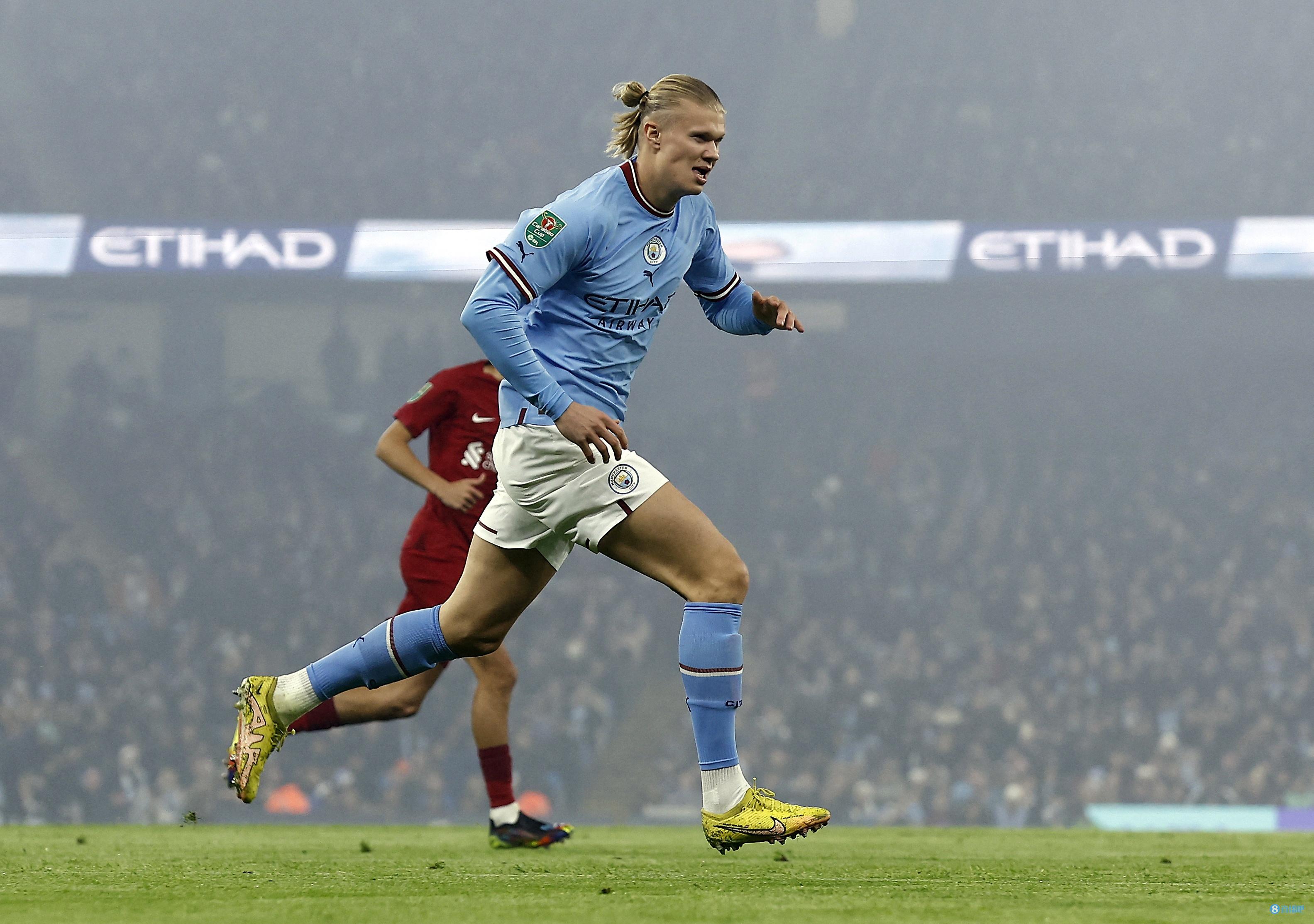 莲的竞争力 莲的竞争力