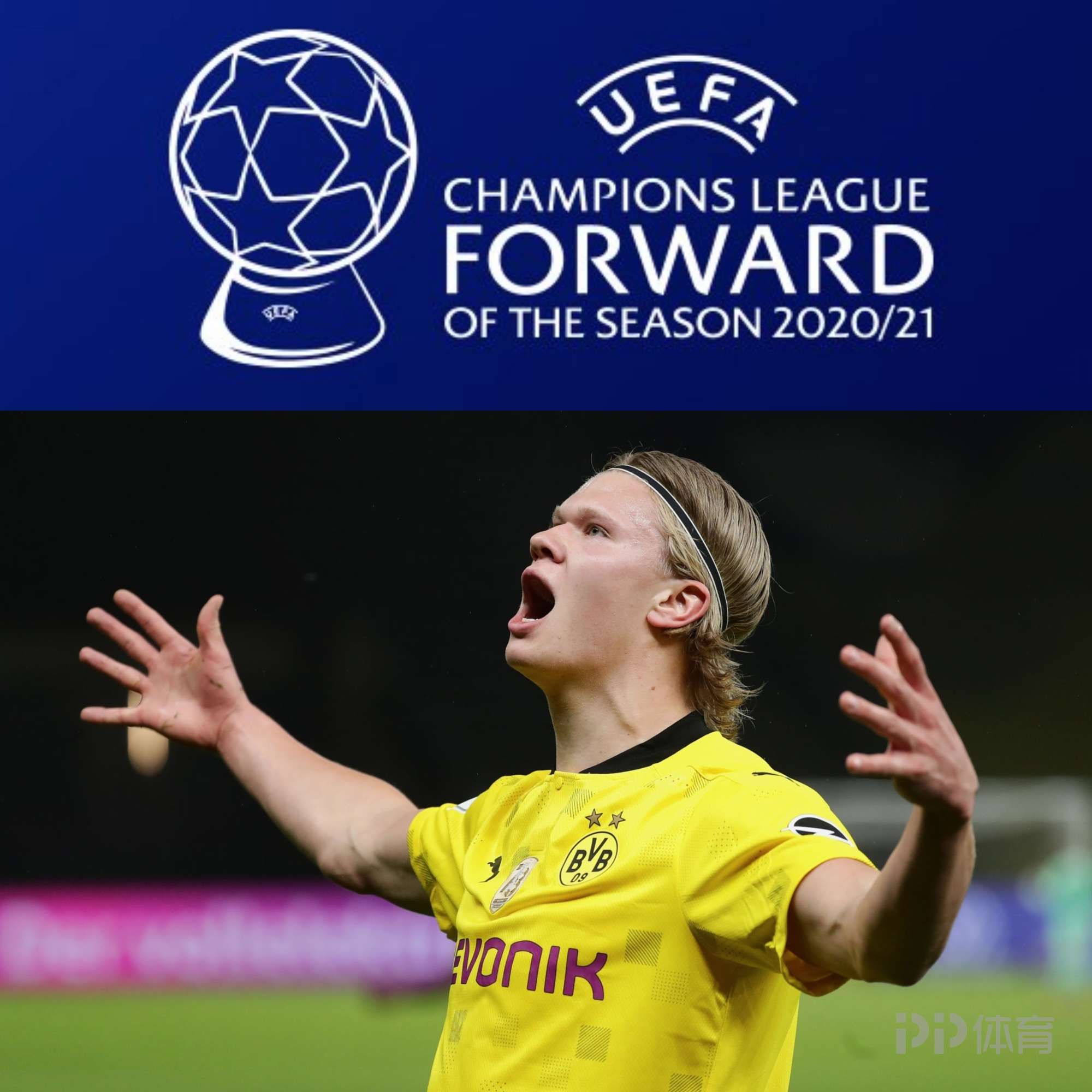 的价值不只 的价值不只